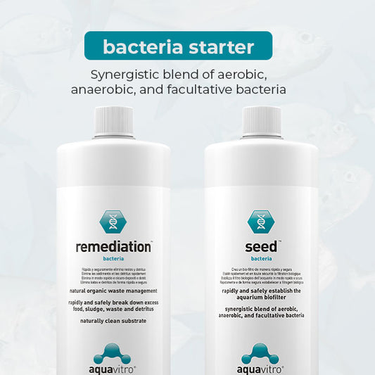 Aquavitro Bacteria Starter Seed and Remediation